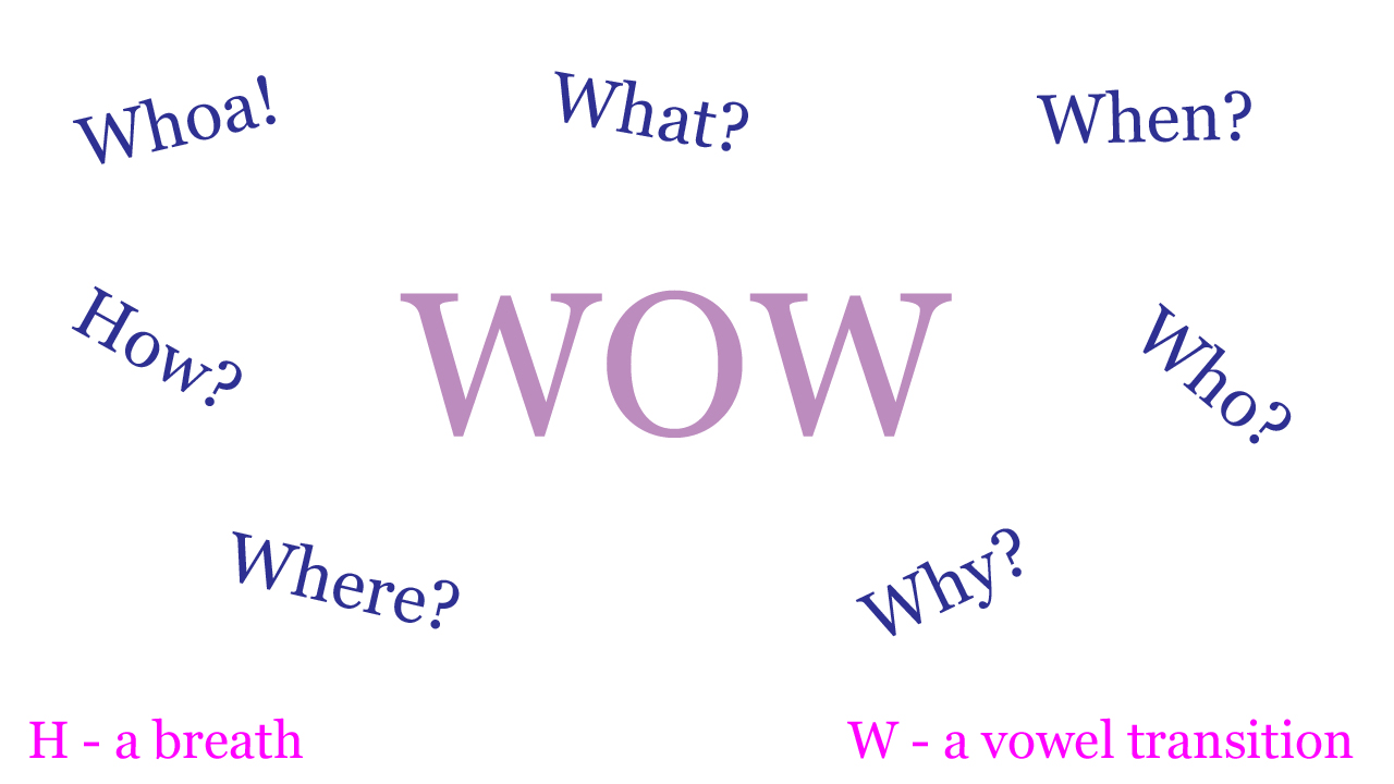 wow, where, what, when, why